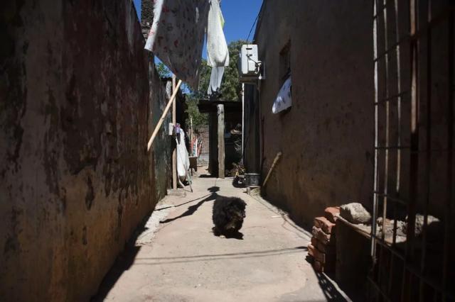 1667606959049093460.jpg 开云体育-达尔文·努涅斯的足球故事:小国小镇走出巨星