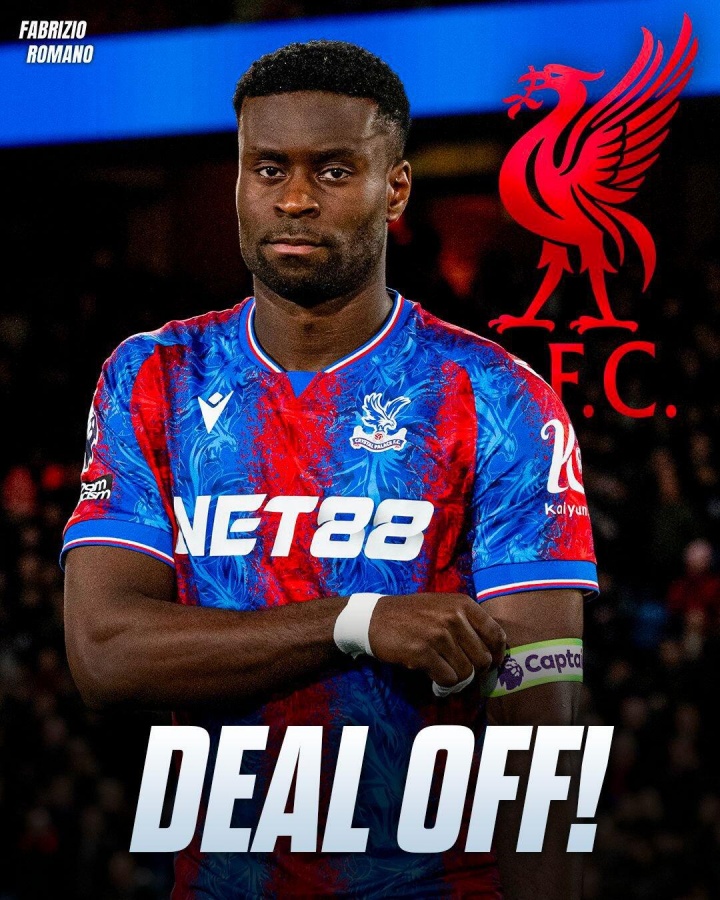 开云体育下载-早报：这树刚爬上就下树了