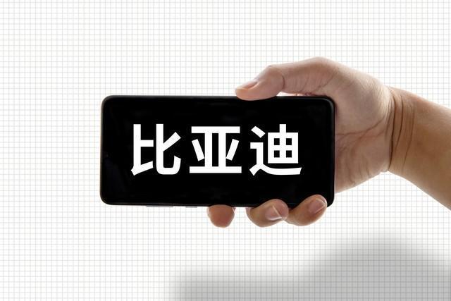 开云体育下载-比亚迪重磅王炸!2026固态电池首发 1218km续航2027量产